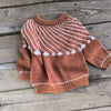 

Shooting Star - Børnesweater
3