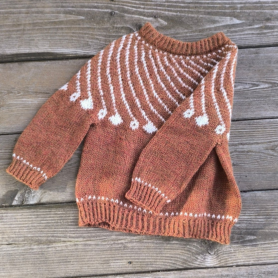 

Shooting Star - Børnesweater
2