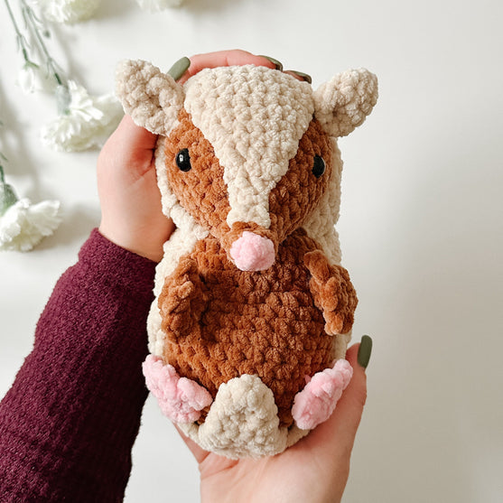 

Bæltedyret Armando
2