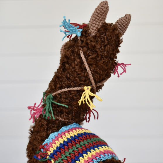 

Alpacaen Pico
7