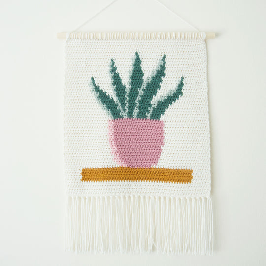 Snake Plant - Vægophæng