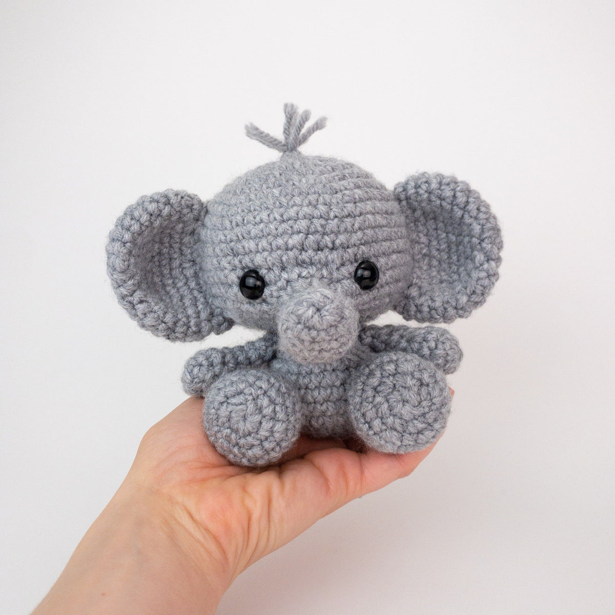 elephantheldfront.jpg
