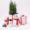

Snemanden Frosty
2