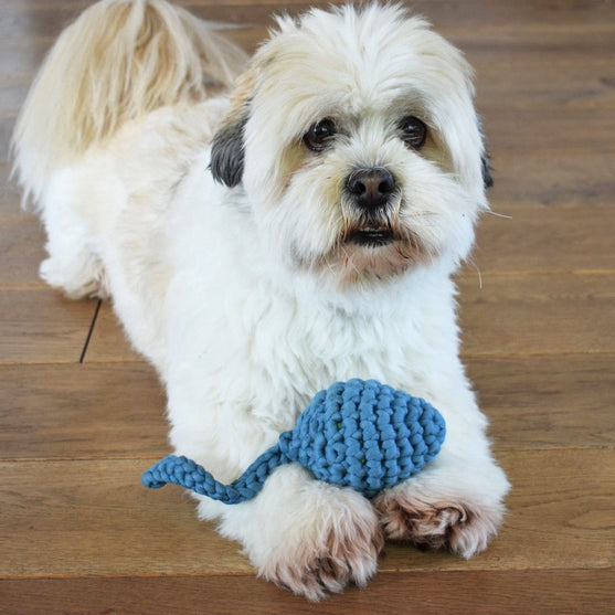 

Haletudse - Hundelegetøj
1