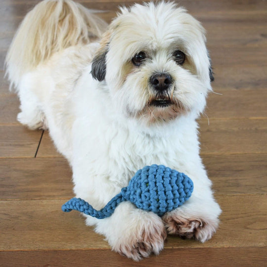 Haletudse - Hundelegetøj