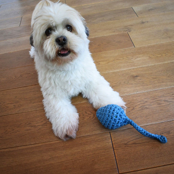 

Haletudse - Hundelegetøj
2