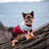 

Yorkshire Terrier – Hundesweater
1