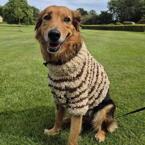 

Stevie - Hundesweater
3