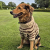 

Stevie - Hundesweater
4