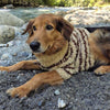 

Stevie - Hundesweater
1
