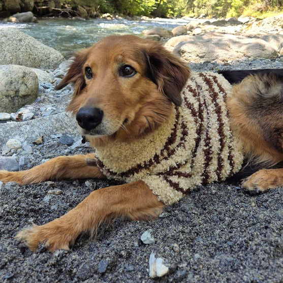 

Stevie - Hundesweater
1