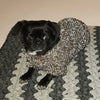 

Flemming Hundesweater
2