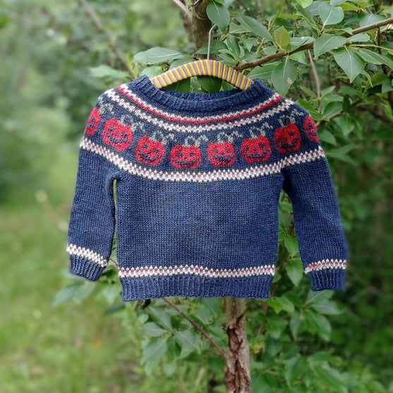 

Pumpkins - Børnesweater
4