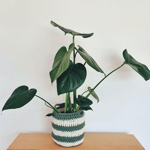 

June - Plantekurv
3