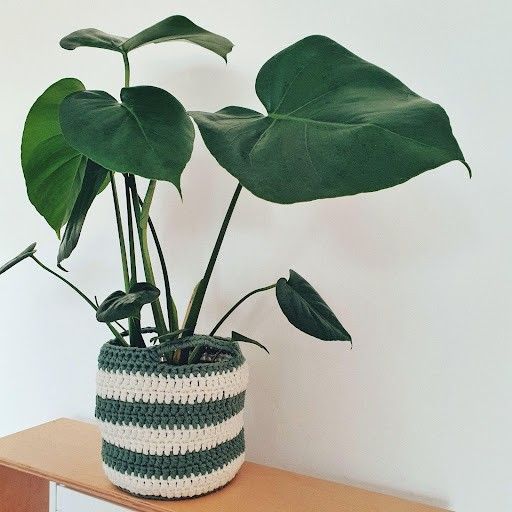 

June - Plantekurv
1
